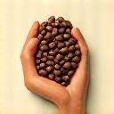 Icon of a hand holding coffee beans